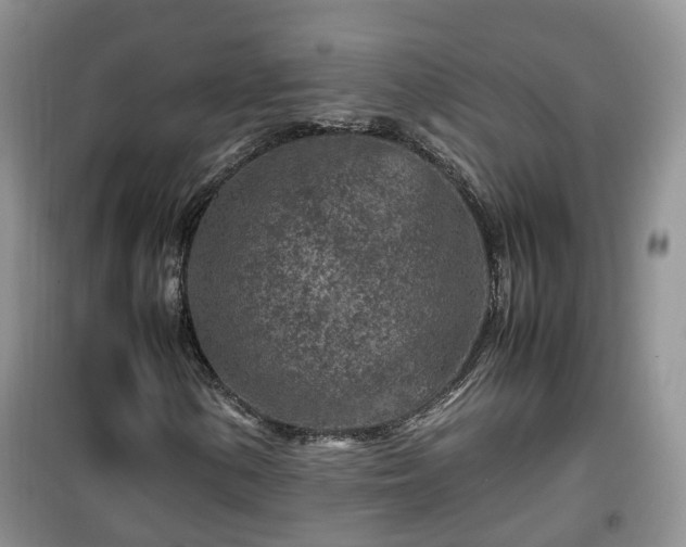 X0000099491154200805221331