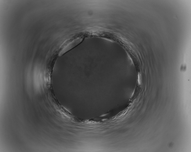 X0000099491155200805221331