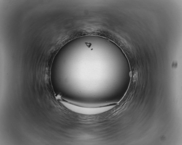 X0000099491156200805221331
