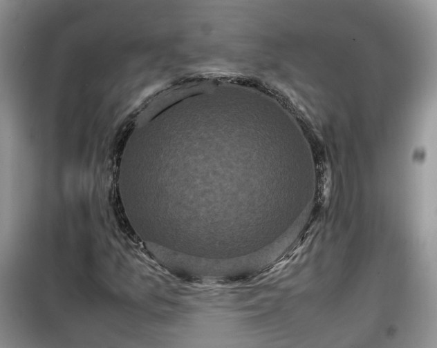 X0000099491157200805221331