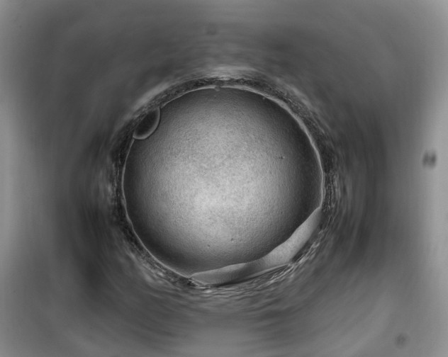 X0000099491158200805221331
