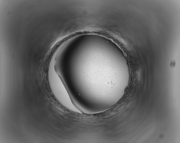 X0000099491160200805221331