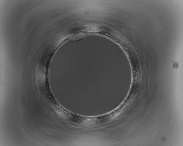 X0000099491161200805221331