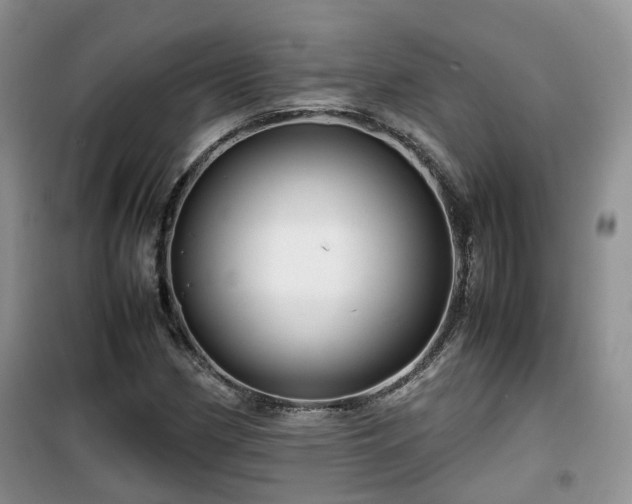X0000099491162200805221331