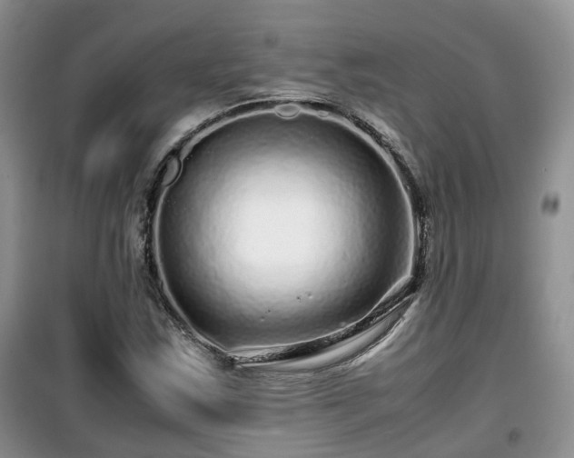 X0000099491163200805221331