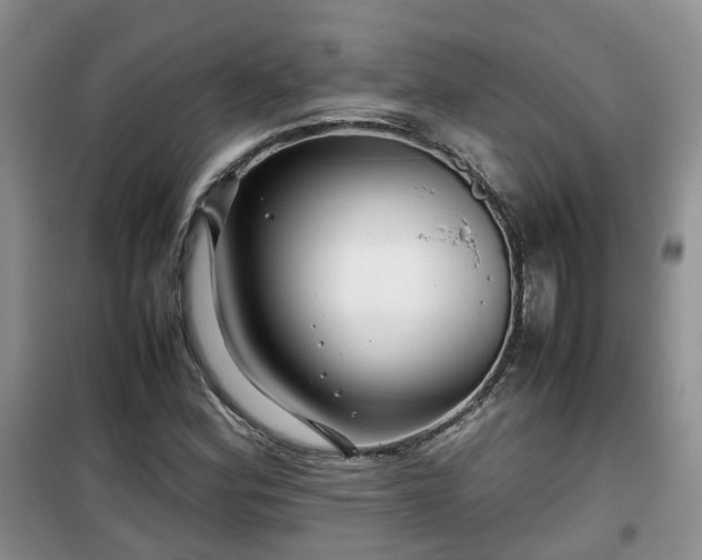 X0000099491164200805221331