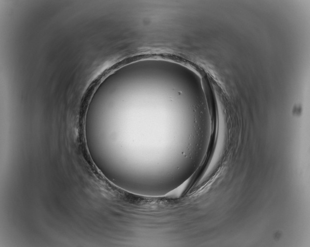 X0000099491165200805221331