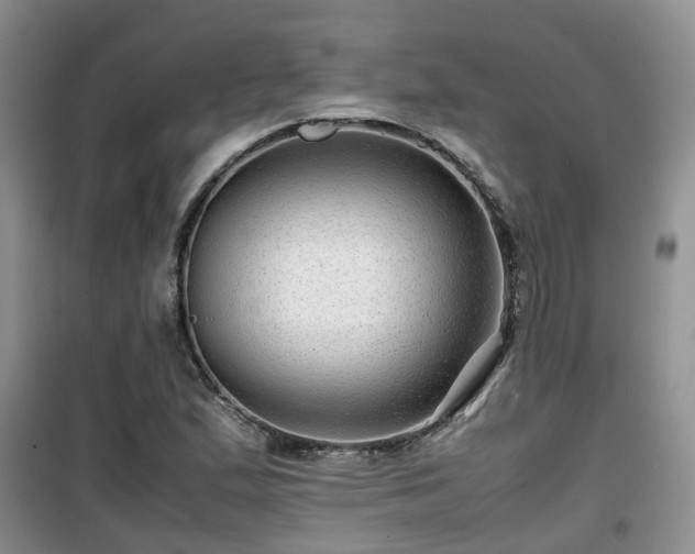 X0000099491167200805221331