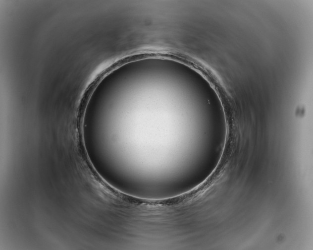 X0000099491168200805221331