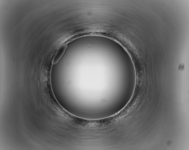 X0000099491169200805221331