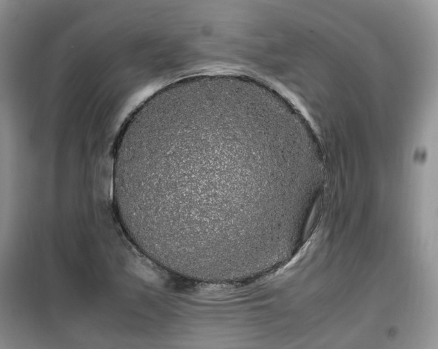 X0000099491171200805221331