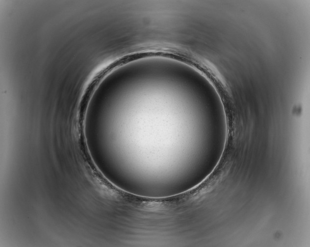 X0000099491172200805221331