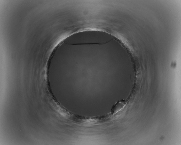 X0000099491173200805221331