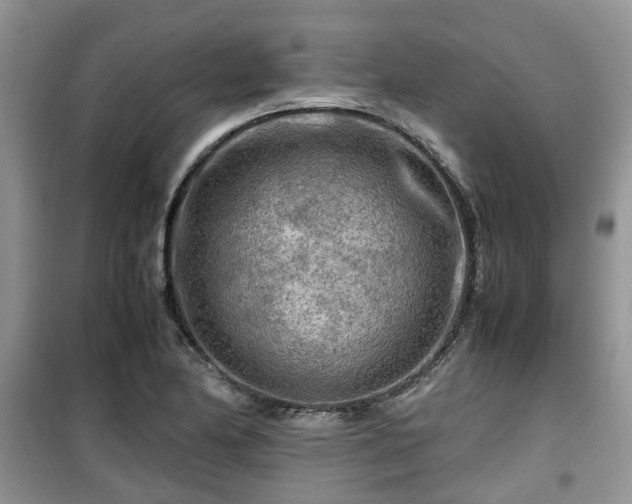 X0000099491174200805221331
