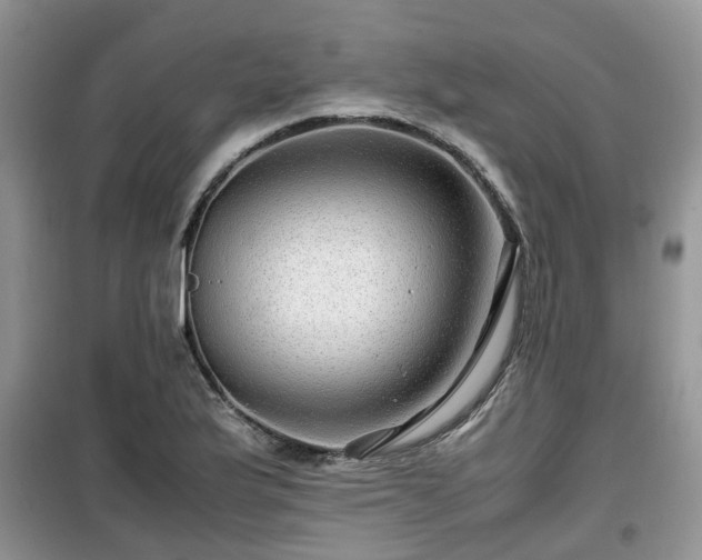 X0000099491175200805221331