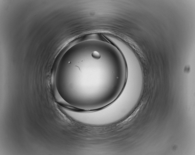 X0000099491177200805221331