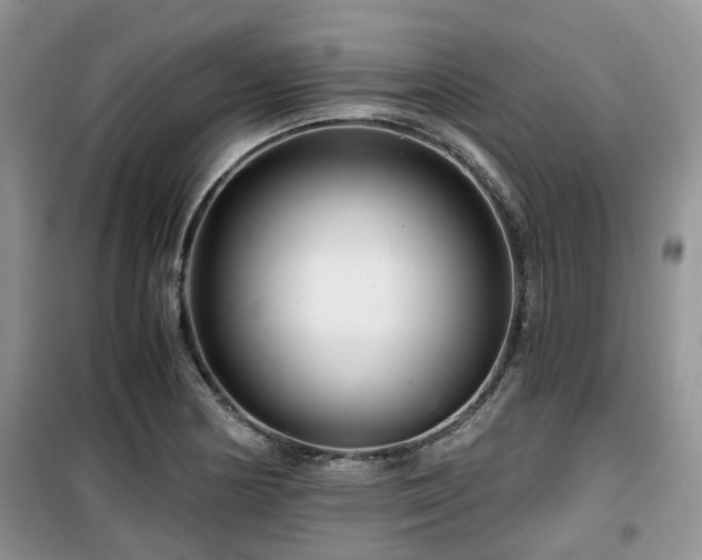 X0000099491178200805221331