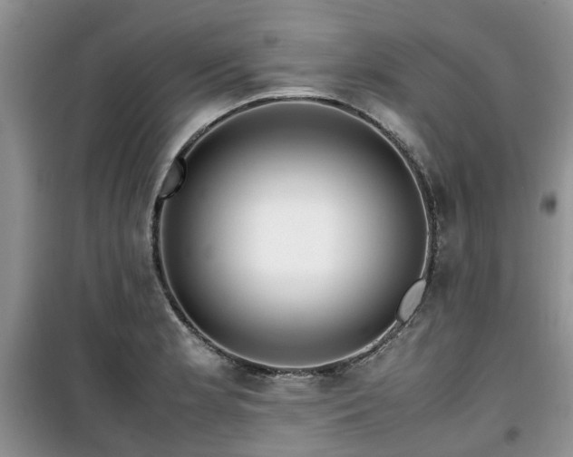 X0000099491181200805221331