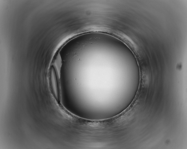 X0000099491182200805221331