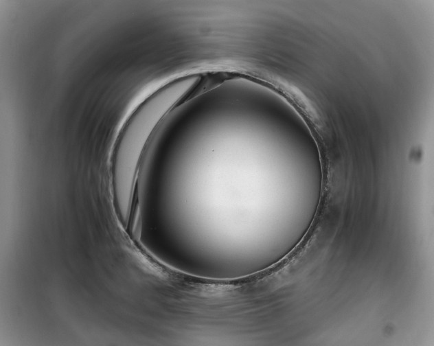 X0000099491184200805221331