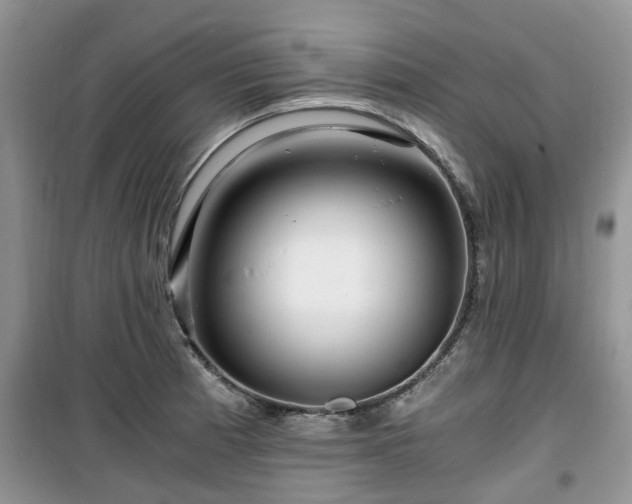 X0000099491185200805221331