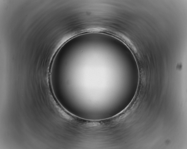 X0000099491186200805221331