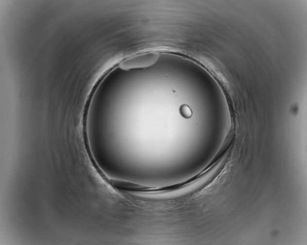 X0000099491189200805221331