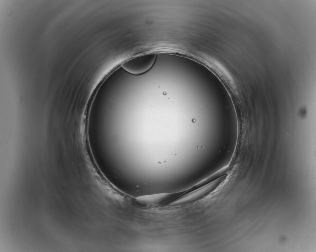 X0000099491190200805221331