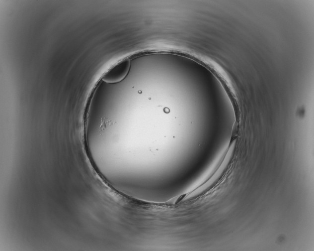 X0000099491191200805221331