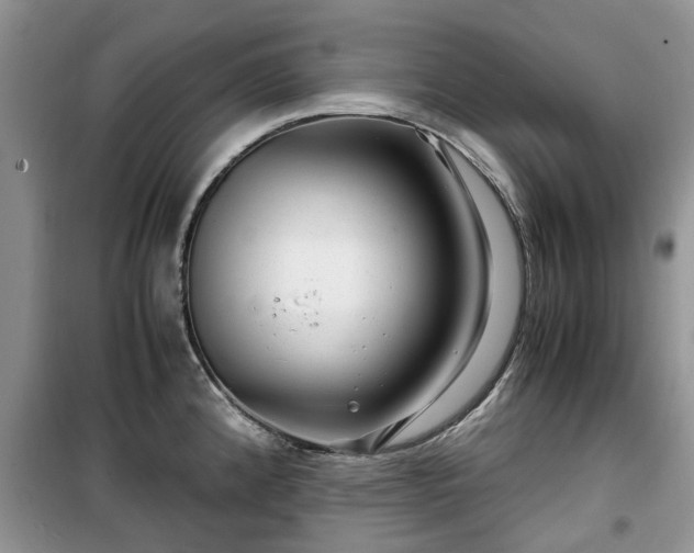 X0000099491192200805221331