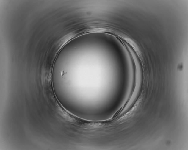 X0000099491193200805221331