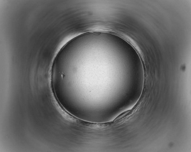 X0000099491195200805221331