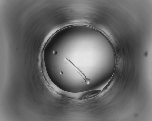 X0000099491196200805221331