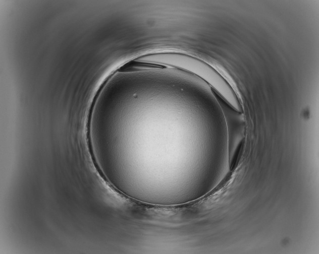 X0000099491197200805221331