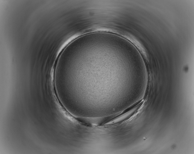 X0000099491198200805221331
