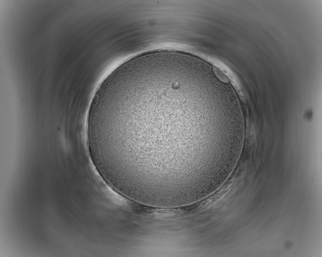 X0000099491199200805221331