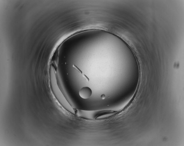 X0000099491200200805221331