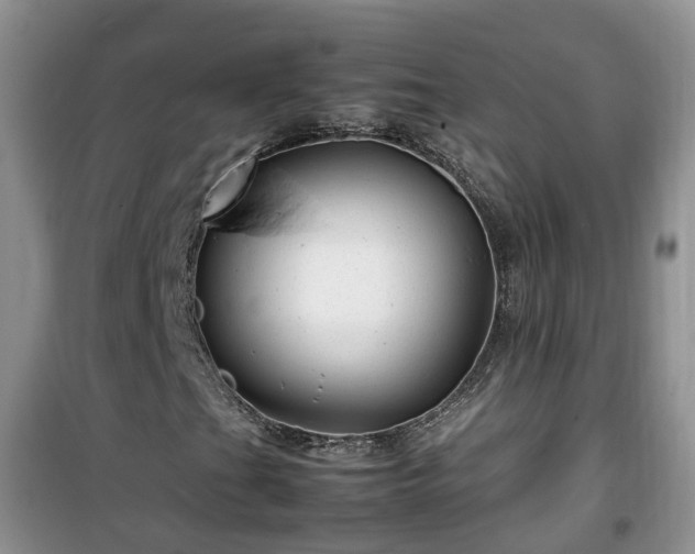 X0000099491201200805221330