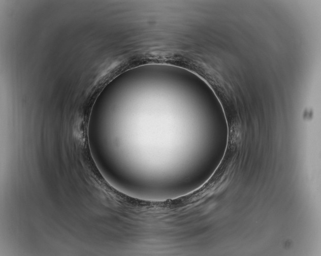 X0000099491202200805221330