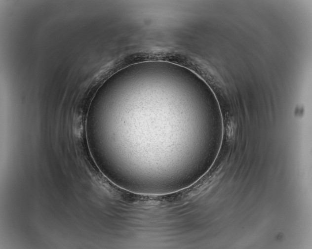 X0000099491204200805221330