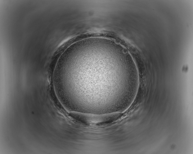X0000099491206200805221330