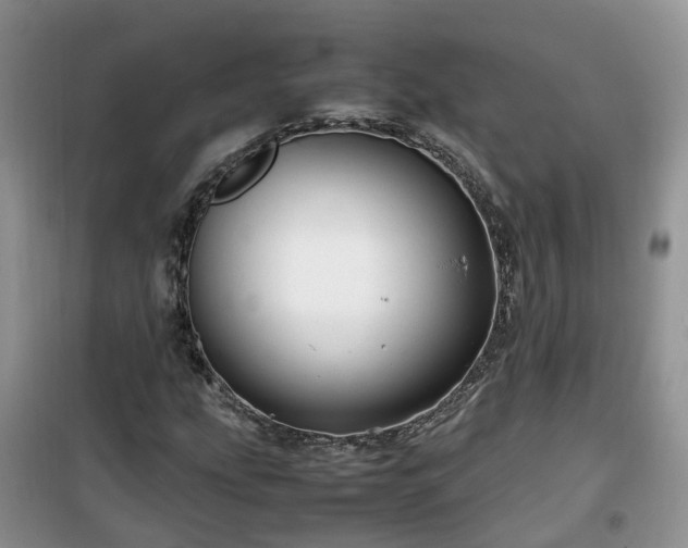 X0000099491207200805221330