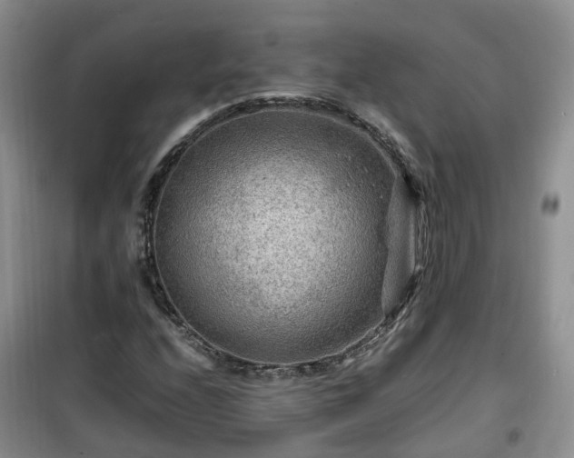 X0000099491208200805221330