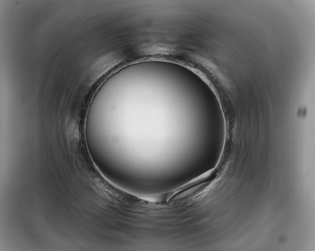 X0000099491209200805221330