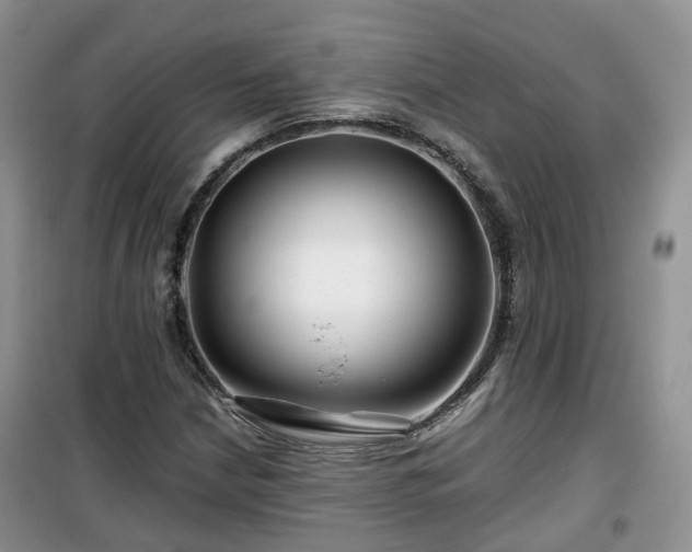 X0000099491210200805221330