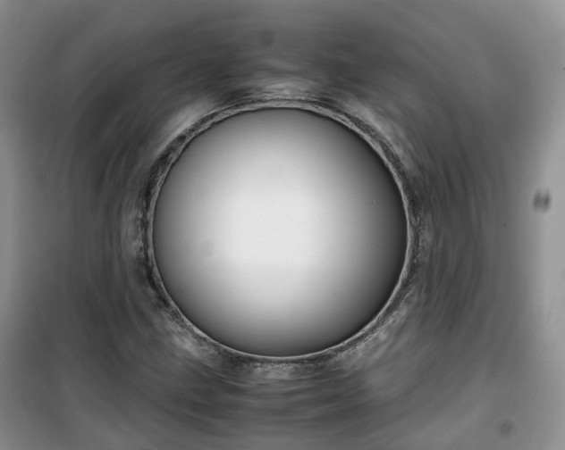 X0000099491211200805221330