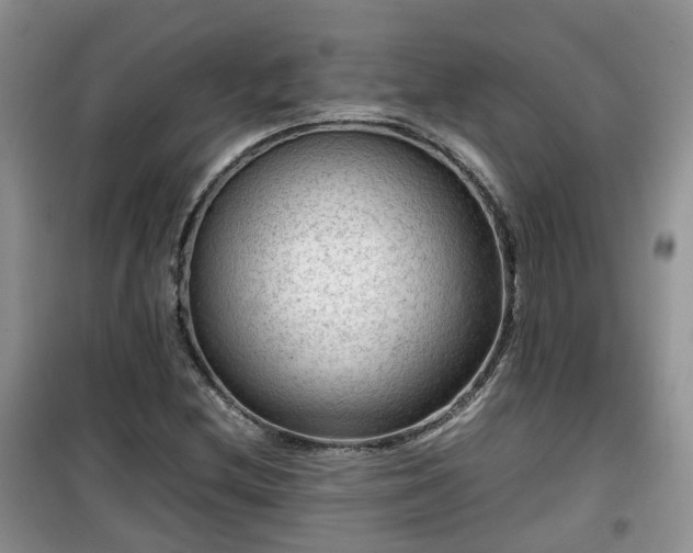 X0000099491212200805221330