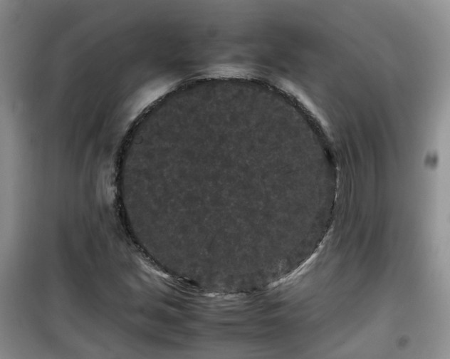 X0000099491213200805221330