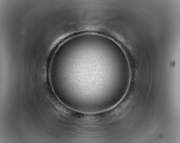 X0000099491214200805221330