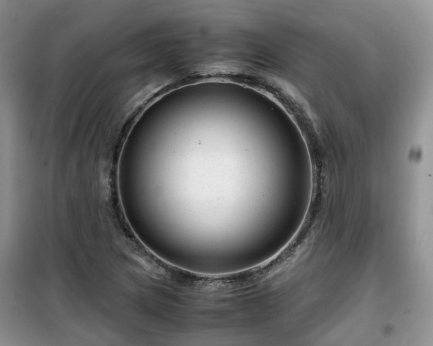 X0000099491217200805221330